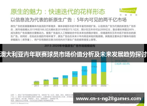 澳大利亚青年联赛球员市场价值分析及未来发展趋势探讨 澳大利亚青年联赛球员市场价值分析及未来发展趋势探讨