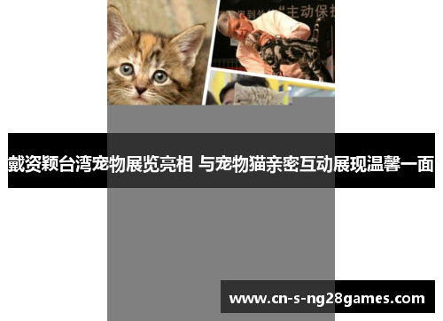 戴资颖台湾宠物展览亮相 与宠物猫亲密互动展现温馨一面 戴资颖台湾宠物展览亮相 与宠物猫亲密互动展现温馨一面